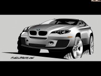     - BMW X 6